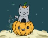 Un gatito de Halloween