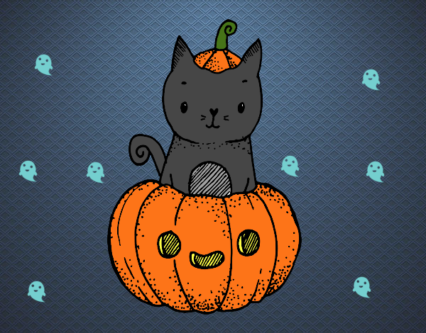 Un gatito de Halloween