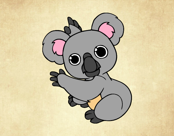 Koala de Valentina