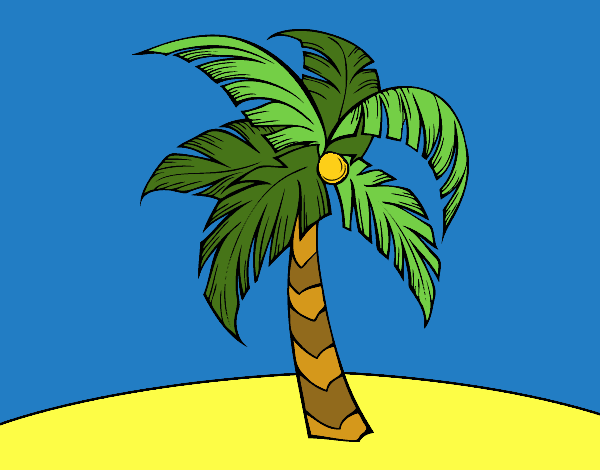 Una palmera