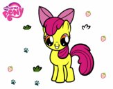 Apple Bloom