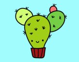 Cactus nopal