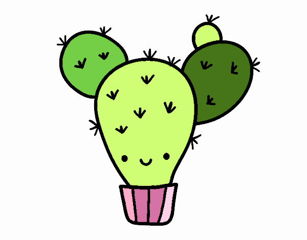 Cactus nopal