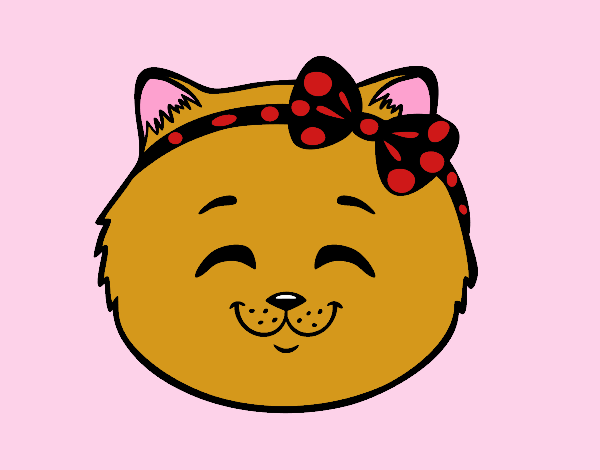 gatito  gabi