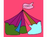 Circo