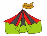 Circo