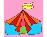 Circo