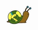 El caracol