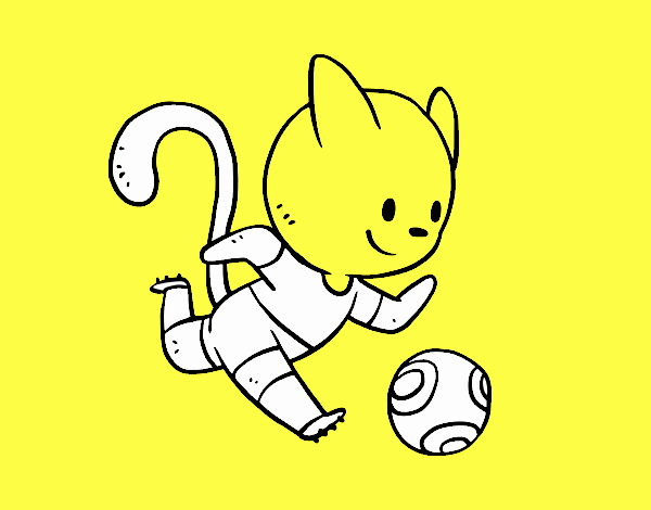 Gato jugando a fútbol