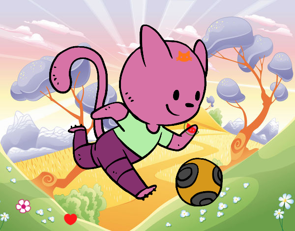 Gato jugando a fútbol