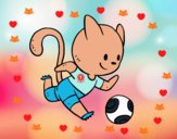 Gato jugando a fútbol