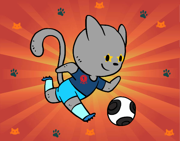 Gato jugando a fútbol