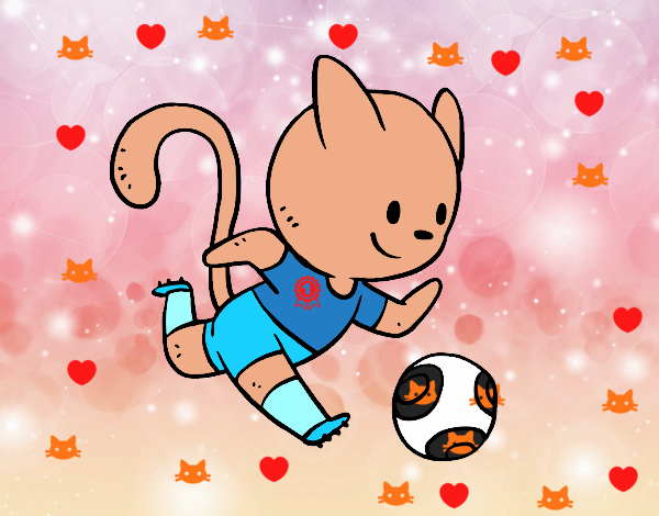 Gato jugando a fútbol