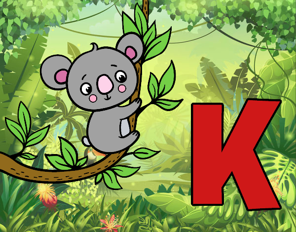 K de Koala