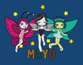 Mayo