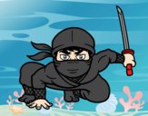 Ninja japonés