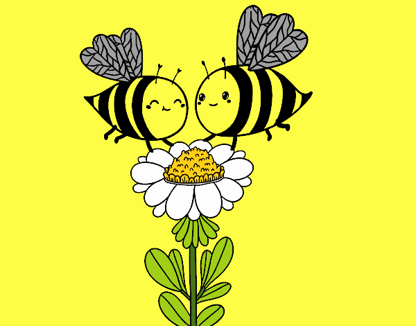 Pareja de abejas