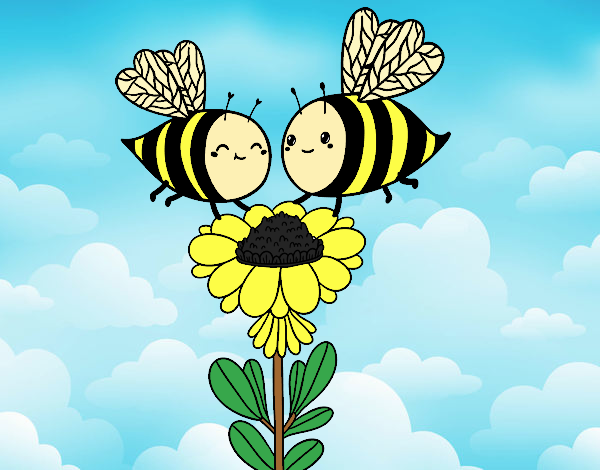 Pareja de abejas