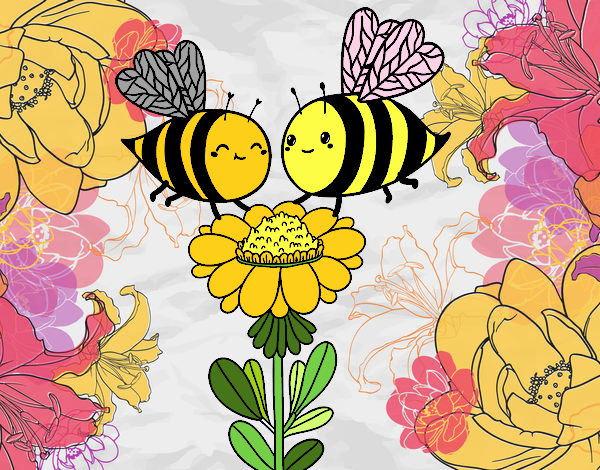 Pareja de abejas