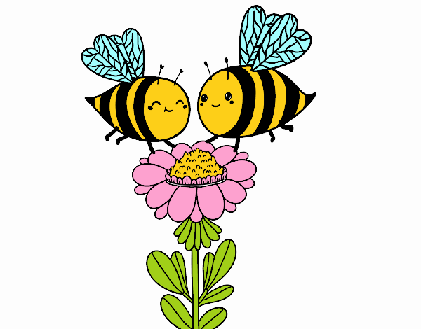 Pareja de abejas