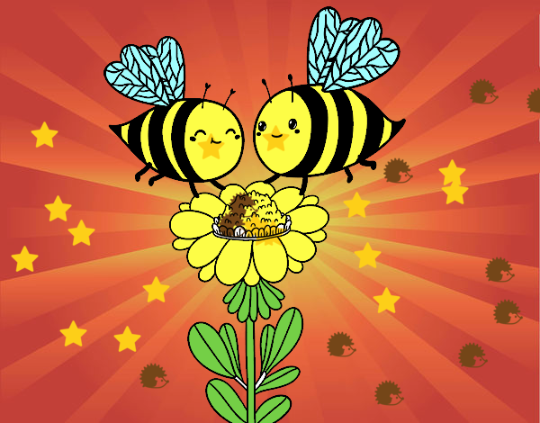 Pareja de abejas