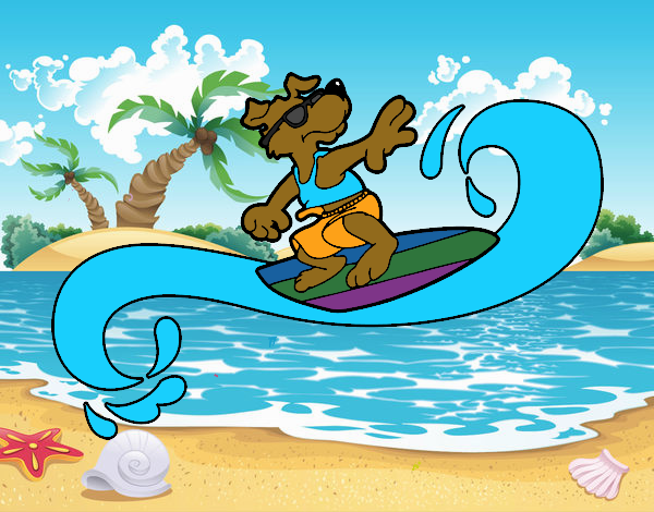 Perro surfeando