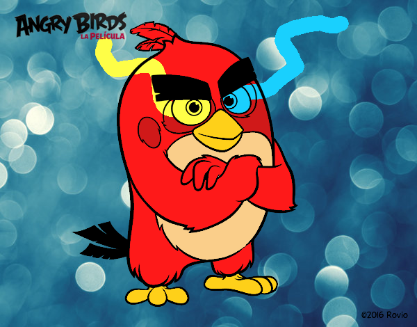 Red de Angry Birds