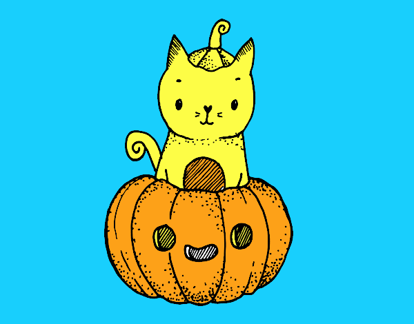 Un gatito de Halloween