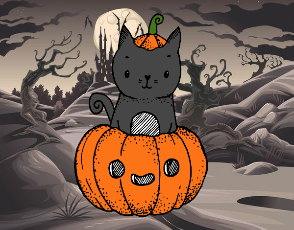 Un gatito de Halloween