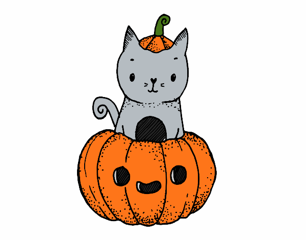 Un gatito de Halloween