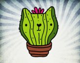 Cactus gato