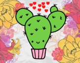 Cactus nopal