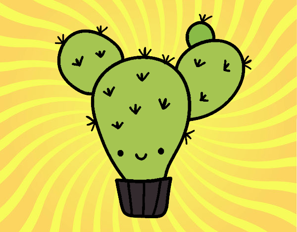 Cactus nopal