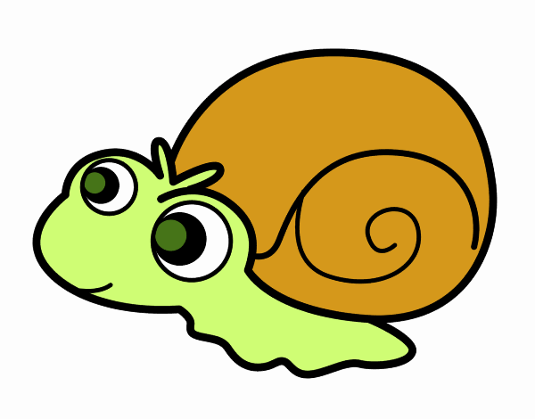 Caracol bebé