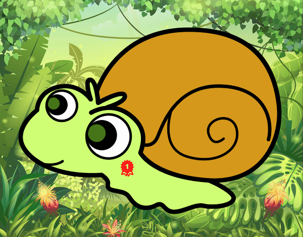 Caracol bebé