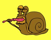 Caracol limpio