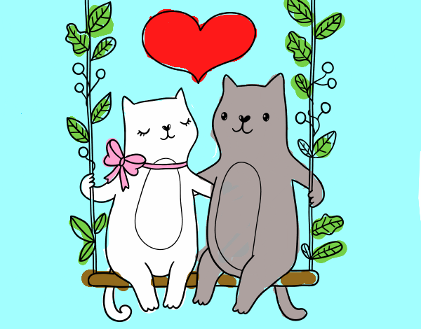 gatitos enamorados