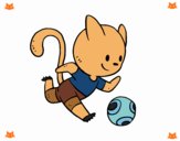 Gato jugando a fútbol