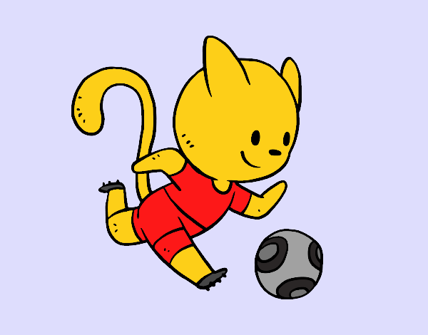 Gato jugando a fútbol