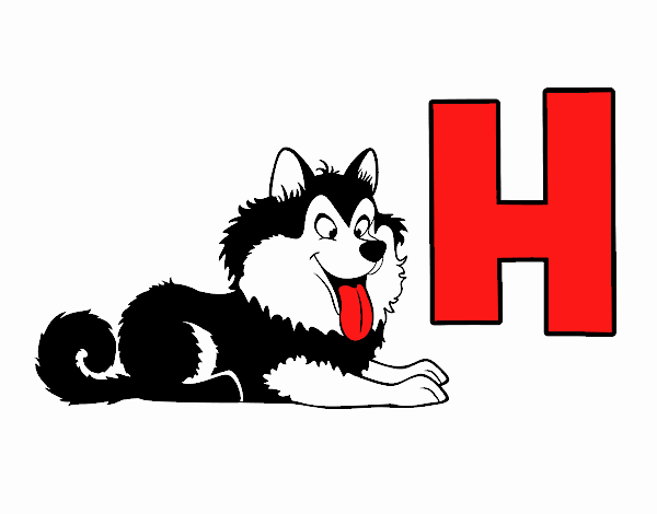 H de Husky