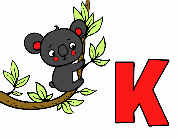 K de Koala