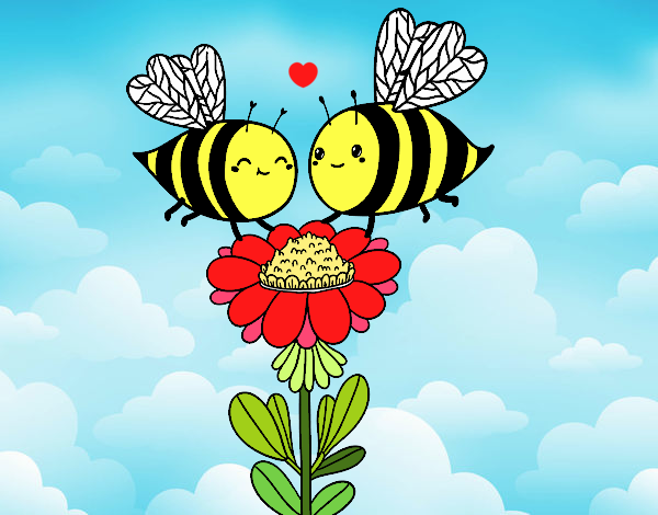 Pareja de abejas