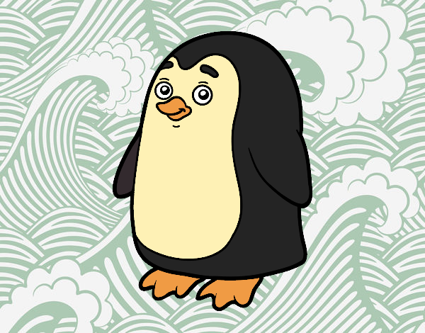 Pingui