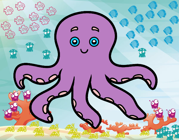 Pulpo infantil