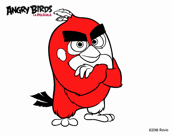 Red de Angry Birds