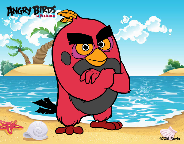 Red de Angry Birds