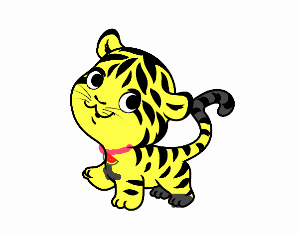 Tigre bebé