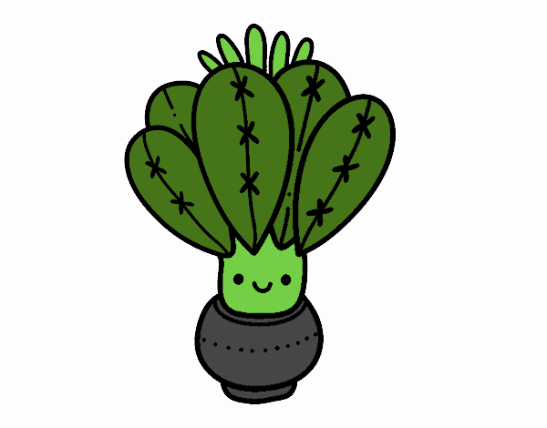 Un cactus con flor