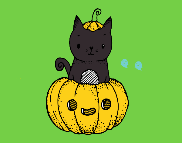 Un gatito de Halloween