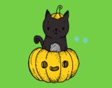 Un gatito de Halloween